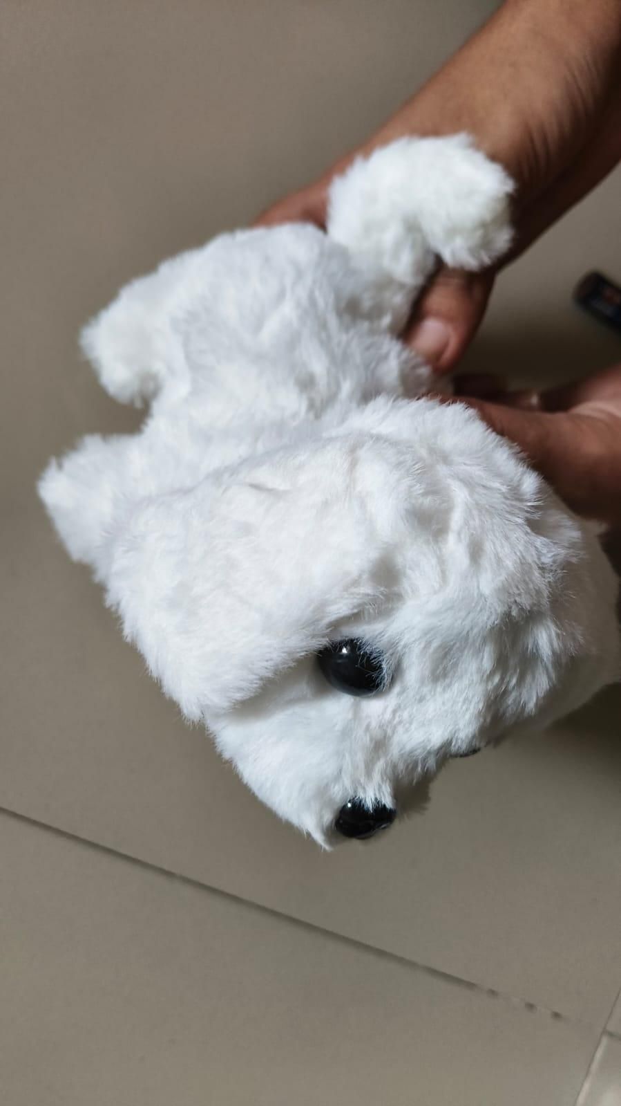 Lapin jouet qui marche avec sons, chien qui saute, oreilles qui remuent, bouche et nez qui frémissent
